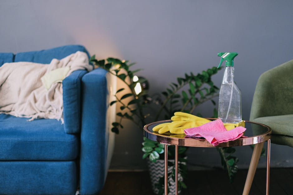 Modern living room with cleaning supplies on a table, featuring a blue sofa and indoor plants.