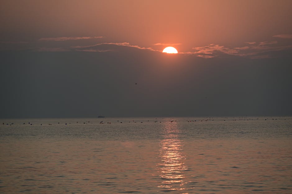 Captivating sunrise over calm ocean waters creates a tranquil scene with reflection and soft hues.